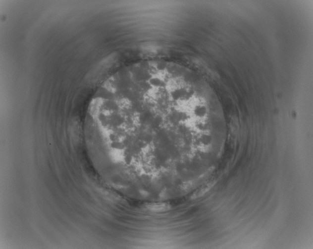 X0000076300659200610271915