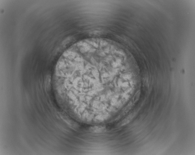 X0000076300660200610271915