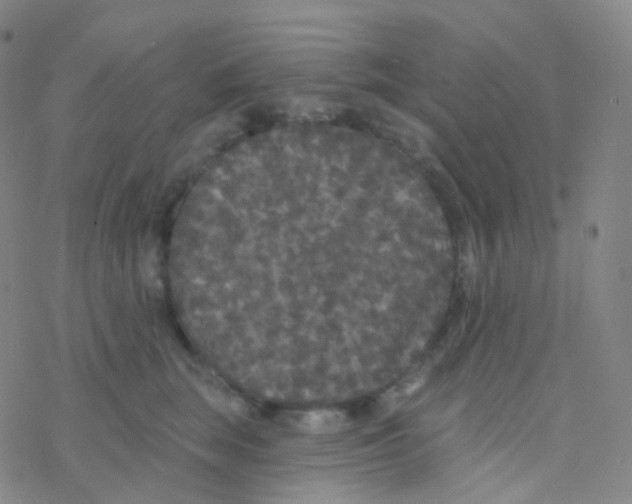 X0000076300663200610271915