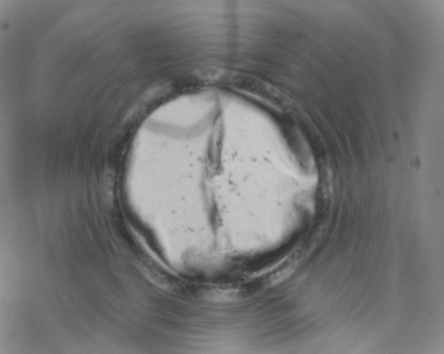 X0000076300664200610271915