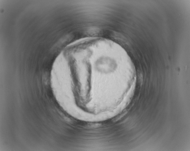 X0000076300665200610271915