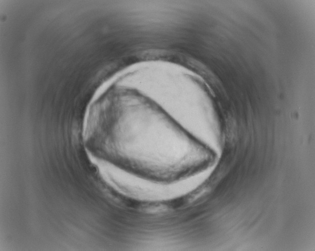 X0000076300669200610271916