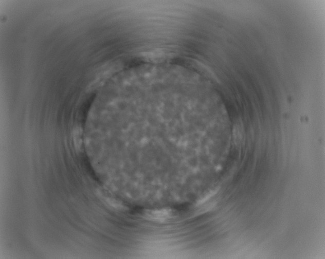 X0000076300671200610271916