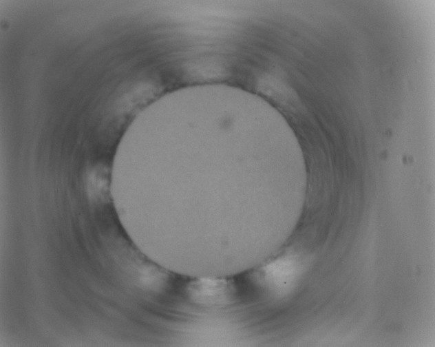 X0000076300672200610271916