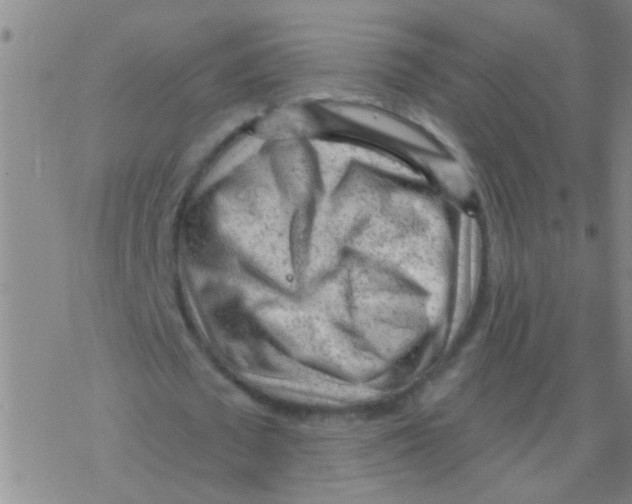 X0000076300673200610271915