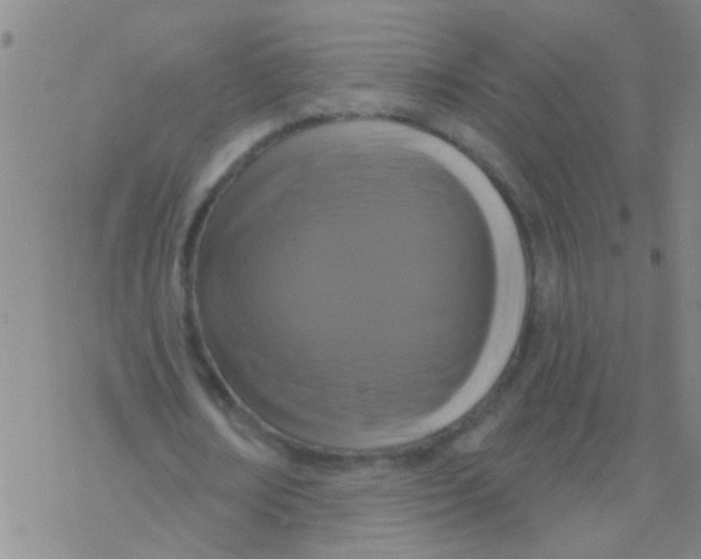 X0000076300674200610271915