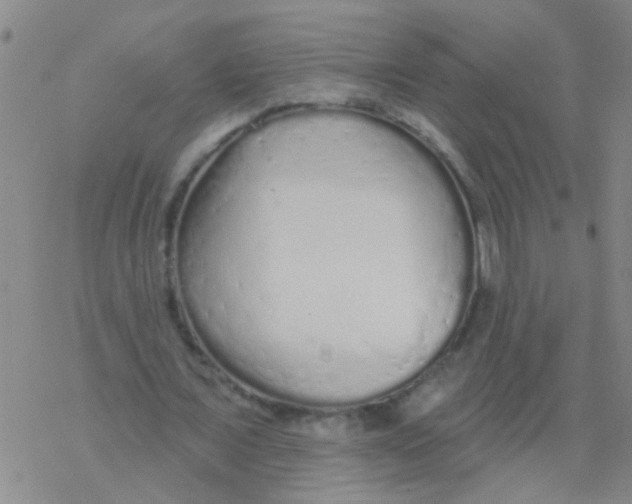 X0000076300675200610271915