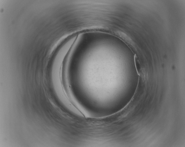 X0000076300676200610271915