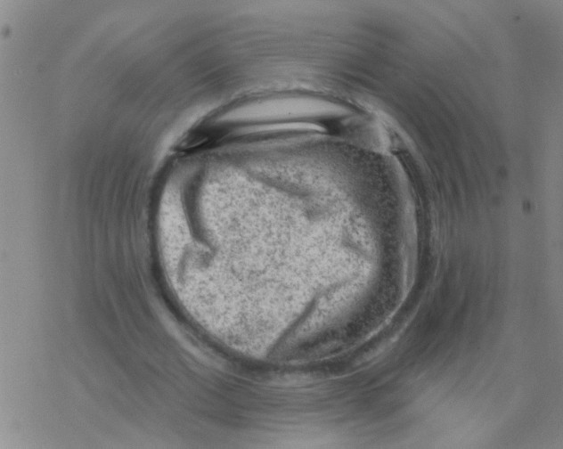 X0000076300677200610271915