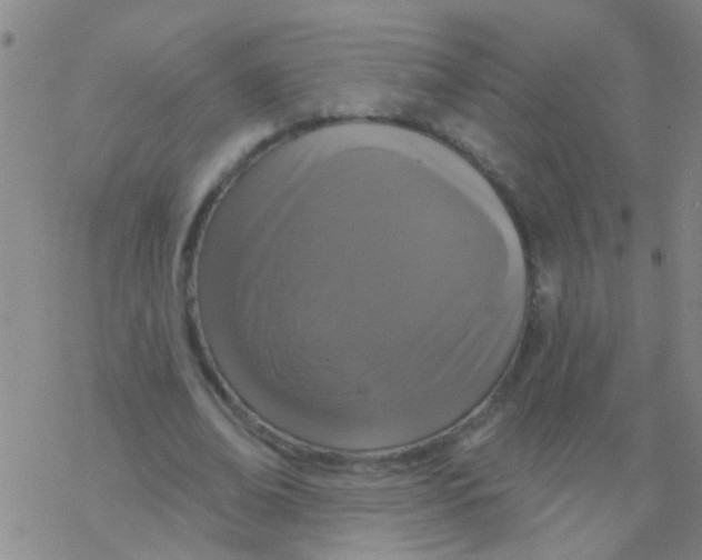 X0000076300678200610271915