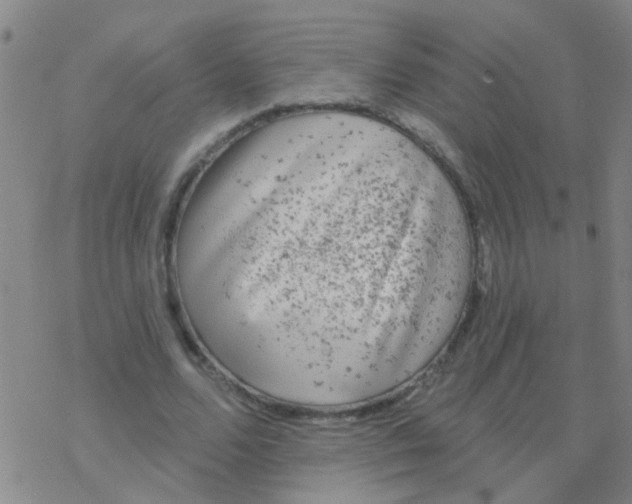 X0000076300680200610271915