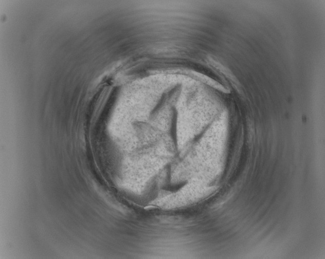 X0000076300681200610271915