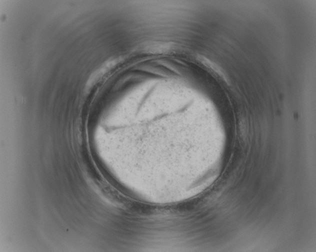 X0000076300682200610271915