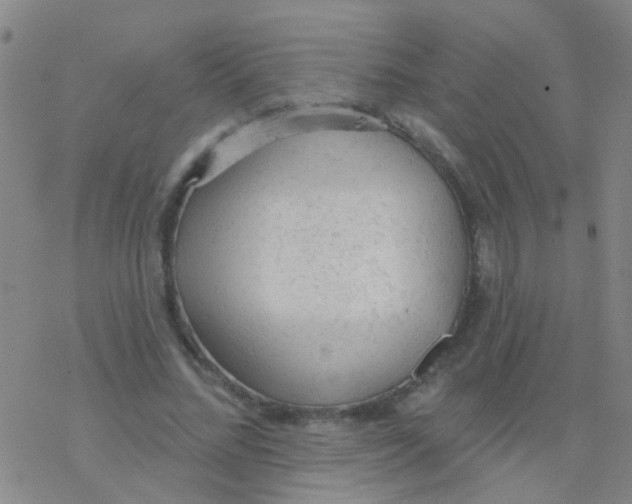 X0000076300684200610271915