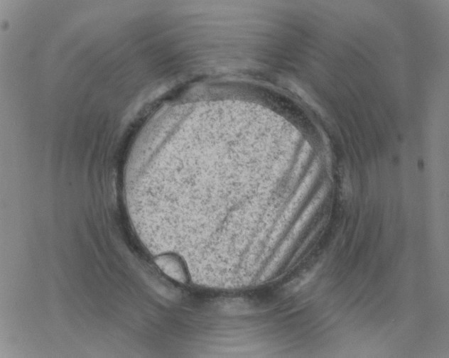 X0000076300685200610271915