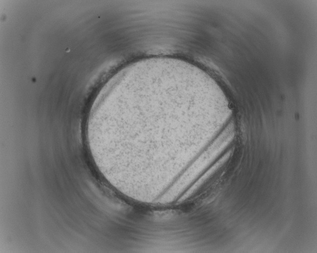 X0000076300686200610271915