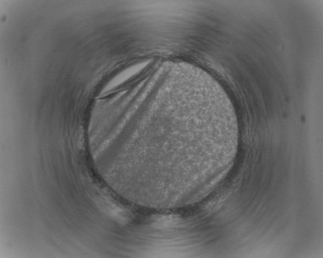 X0000076300689200610271915