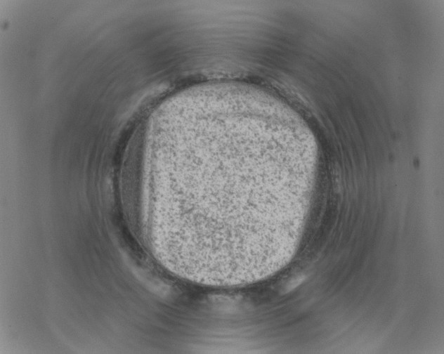 X0000076300690200610271914