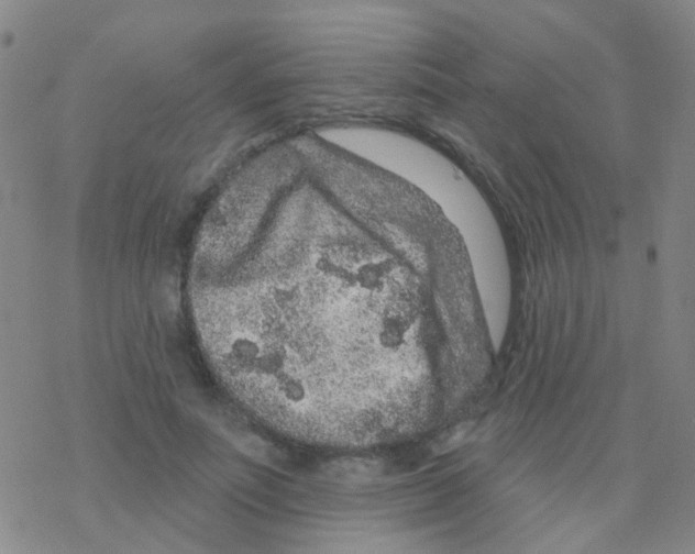 X0000076300691200610271914