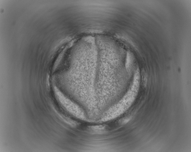 X0000076300692200610271914