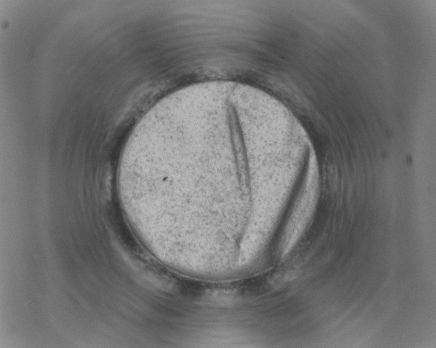 X0000076300694200610271914