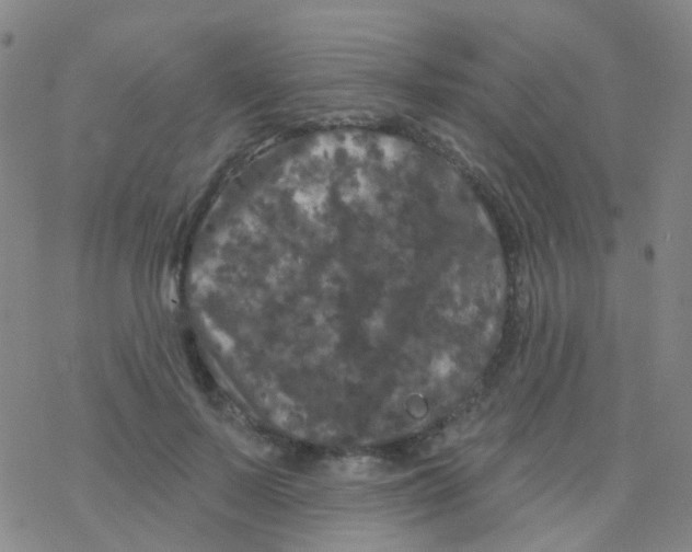 X0000076300695200610271914