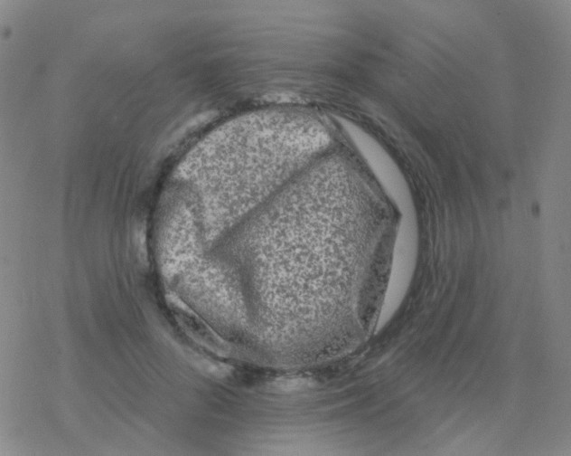 X0000076300696200610271914