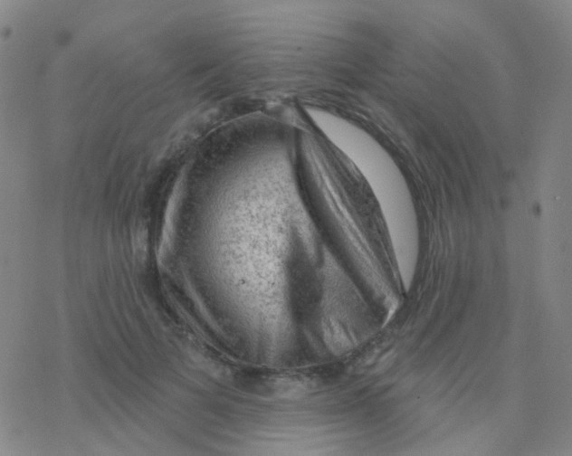 X0000076300697200610271914