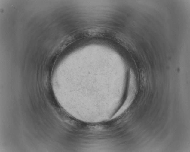 X0000076300698200610271914