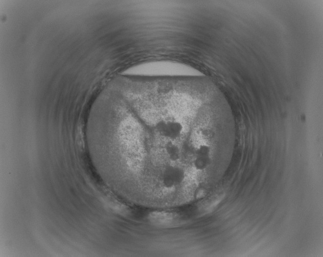 X0000076300699200610271914