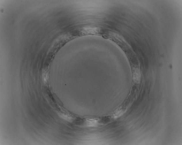 X0000076300701200610271914