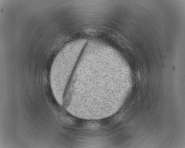 X0000076300702200610271914