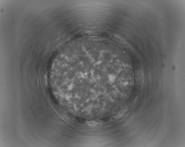 X0000076300703200610271914