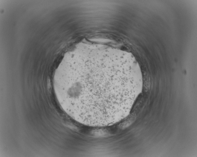 X0000076300704200610271914