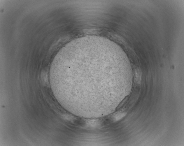 X0000076300705200610271914