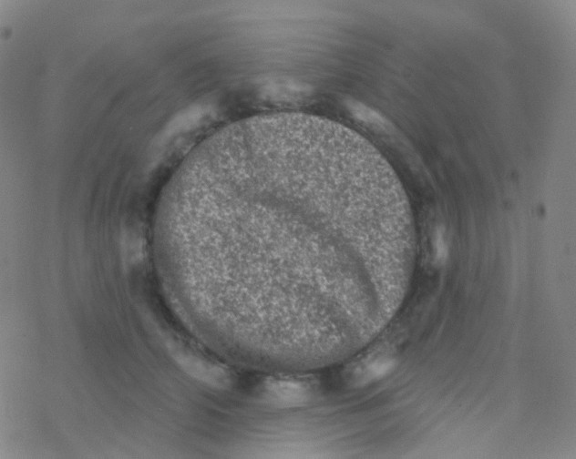 X0000076300706200610271914