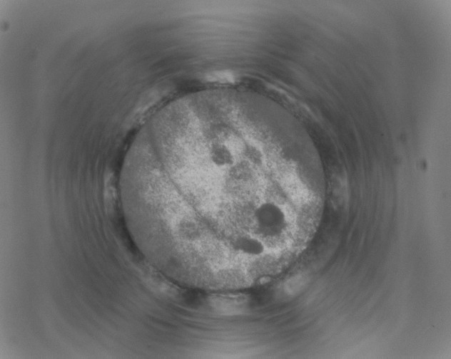 X0000076300707200610271914