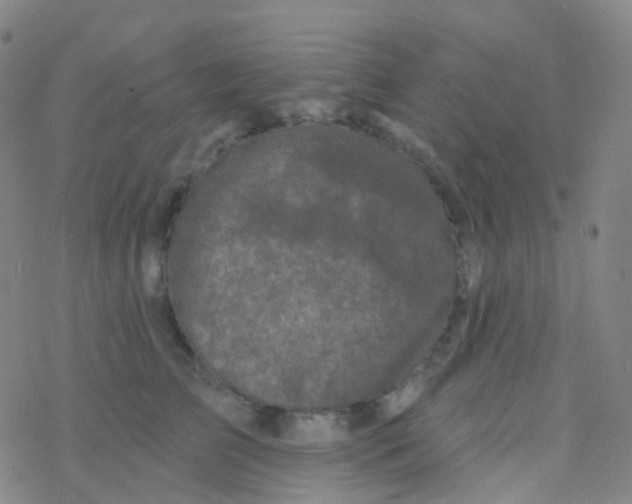 X0000076300709200610271914