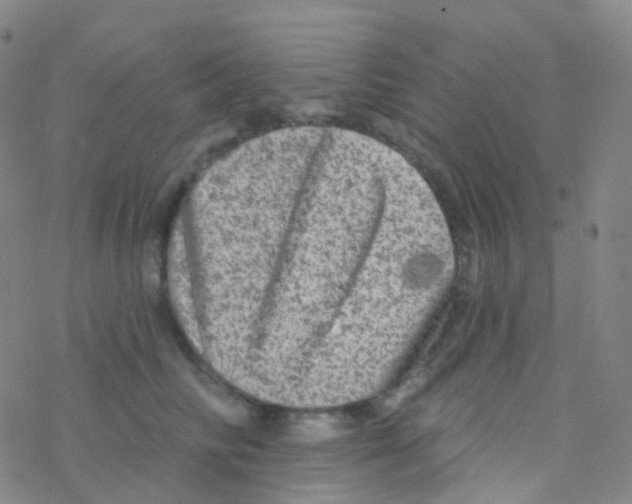 X0000076300710200610271914