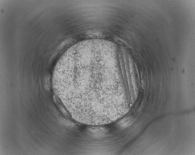 X0000076300712200610271914