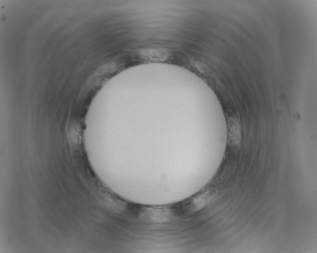 X0000076300713200610271914