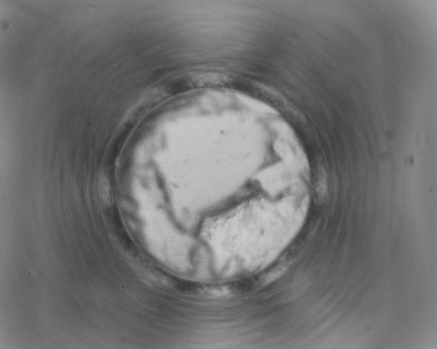 X0000076300715200610271914