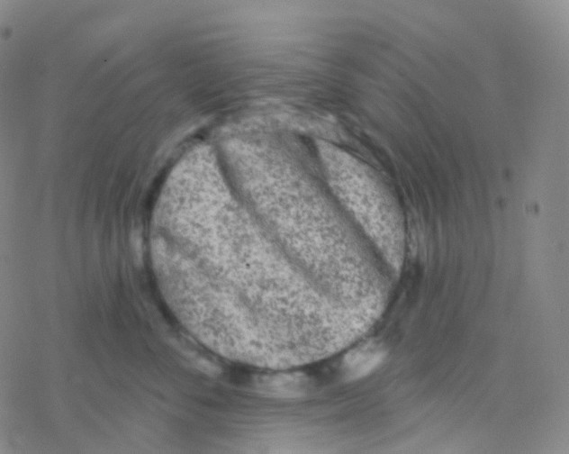 X0000076300716200610271914