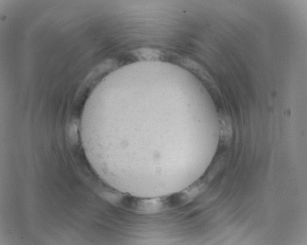 X0000076300717200610271914