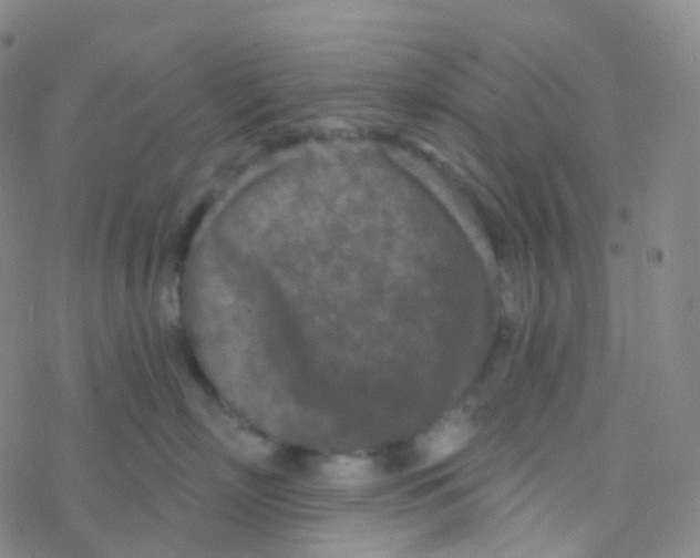 X0000076300718200610271914