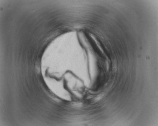 X0000076300719200610271914