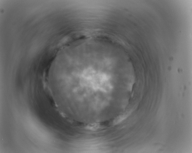 X0000076300720200610271914