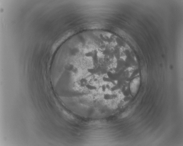 X0000076300721200610271913