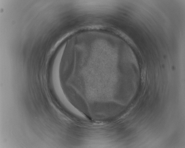 X0000076300722200610271913