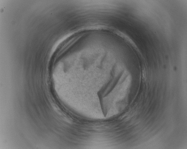 X0000076300724200610271913